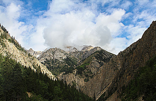 高山云雾