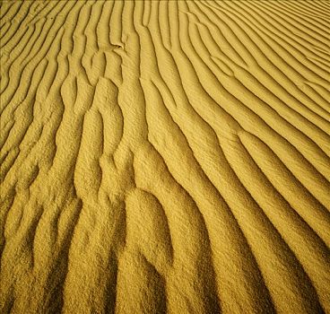 沙丘,南邦国家公园,澳大利亚