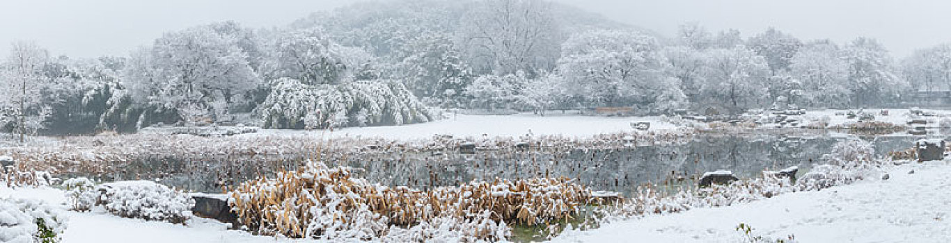 武汉冬日雪景风光