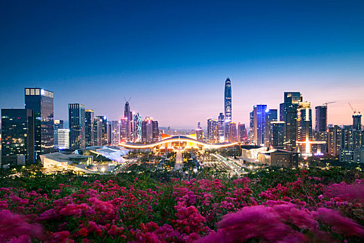 中国广东深圳福田中心区都市夜景