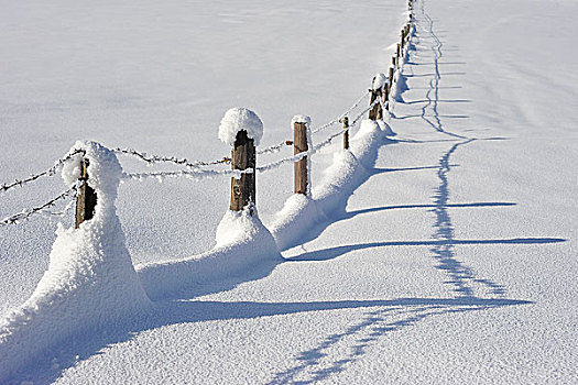 积雪,草场,栅栏,影子