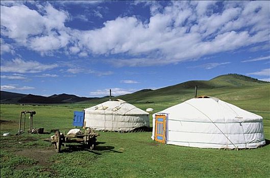 游牧,露营,蛇,山谷,后杭爱省,省,蒙古
