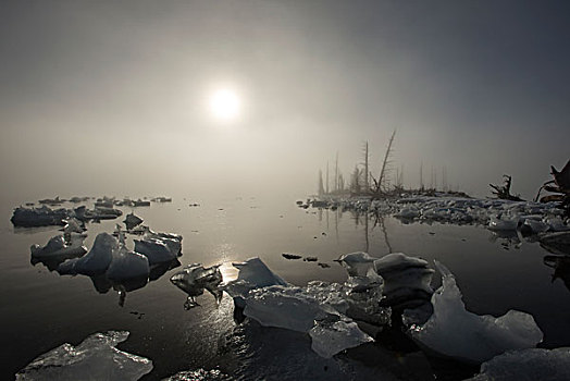 搁浅,冰山,雾,威廉王子湾,阿拉斯加