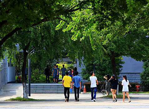 教学楼,楼房,树木,大学生,道路