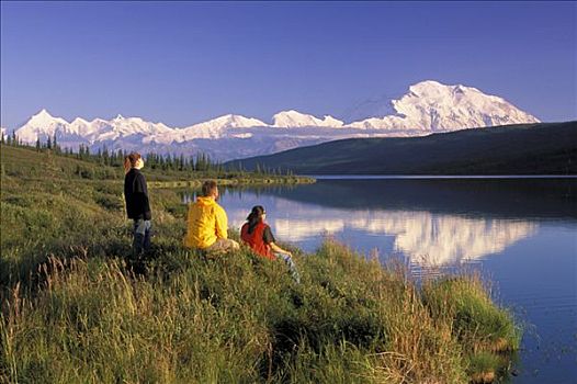 游客,风景,山,麦金利山,夏天,室内,阿拉斯加