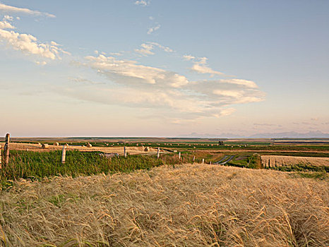 俯视,农田,夹锭钳,溪流,艾伯塔省,加拿大