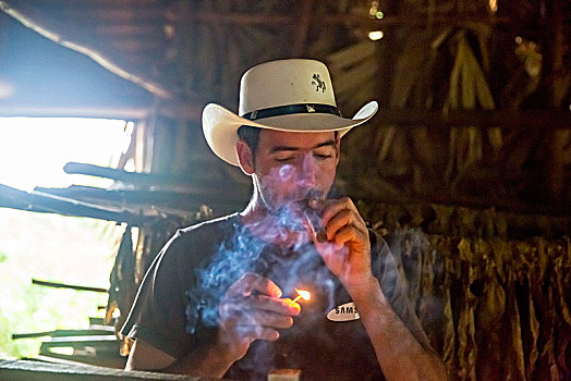 烟草,农民,哈瓦那,雪茄,农场,维尼亚雷斯,山谷,古巴