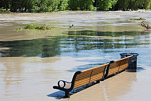 公园长椅,坐,潮水,洪水,卡尔加里,艾伯塔省,加拿大
