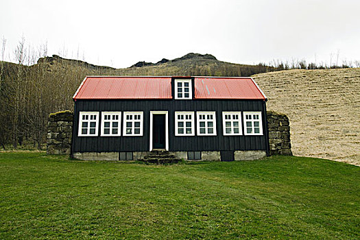 特色,冰岛,房子,红色,屋顶