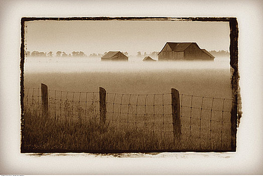 铁丝栅栏,谷仓,雾,布鲁斯半岛,安大略省,加拿大