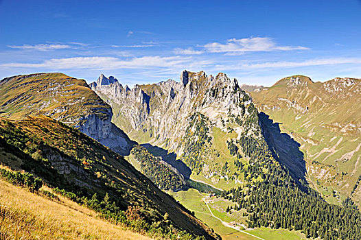 风景,山,阿彭策尔,阿尔卑斯山,瑞士,欧洲