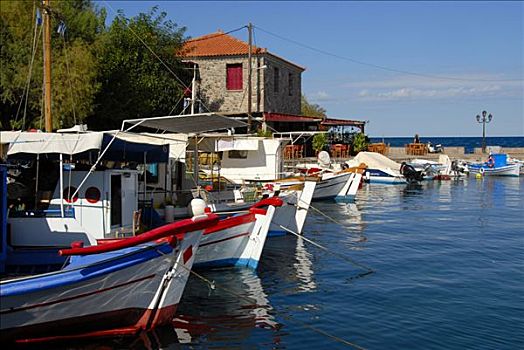 船首,许多,小,渔船,莱斯博斯岛,岛屿,爱琴海,希腊,欧洲
