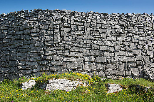 石墙,暗褐色,铁器时代,历史,堡垒,伊尼什莫尔岛尔,阿伦群岛,戈尔韦郡,爱尔兰