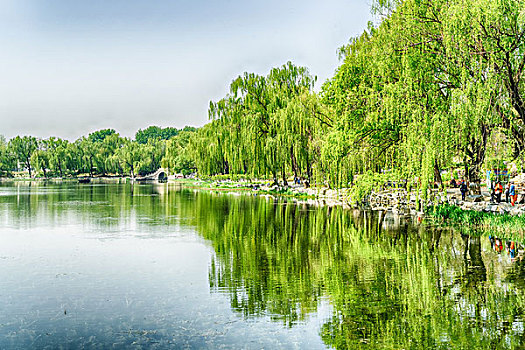 北京圆明园遗址公园风光