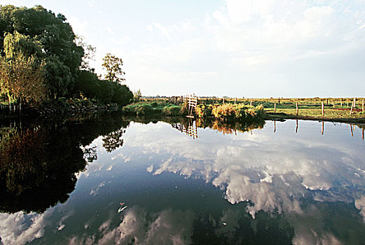 湿地,反射,云,地区性,自然公园,法国