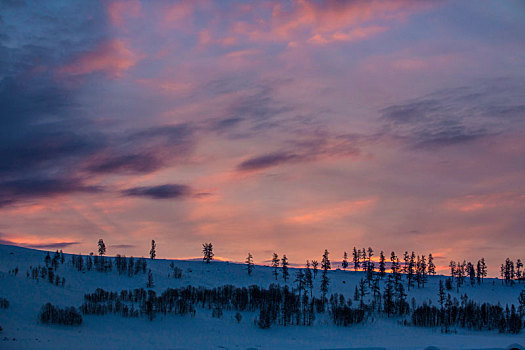 夕阳下的禾木村雪景