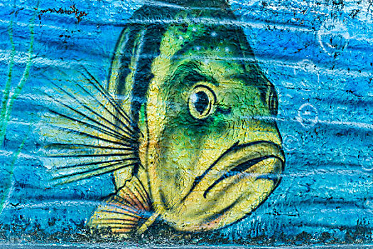 鱼,城市,涂鸦,亚马逊,巴西,南美