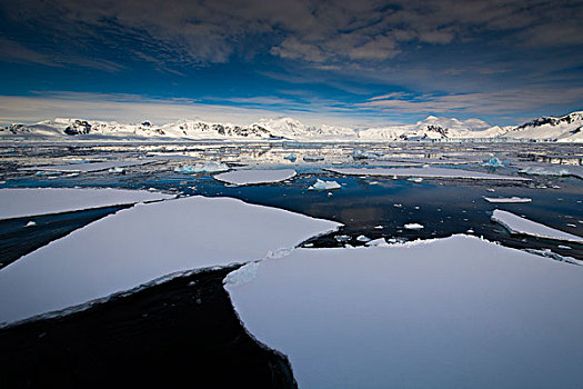 南极,南,圆,靠近,阿德莱德,岛屿,浮冰