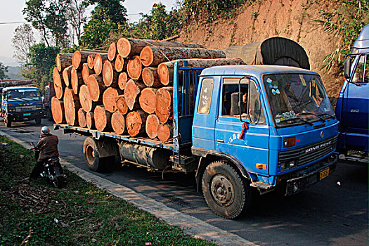 树林,破坏,缅甸,木料,装载,中国,卡车,边界,云南,亚洲