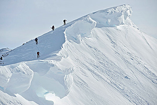 边远地区,滑雪者,山脊,器具,楚加奇国家森林,阿拉斯加,冬天