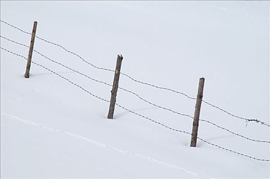 刺铁丝网,大雪,巴伐利亚,德国