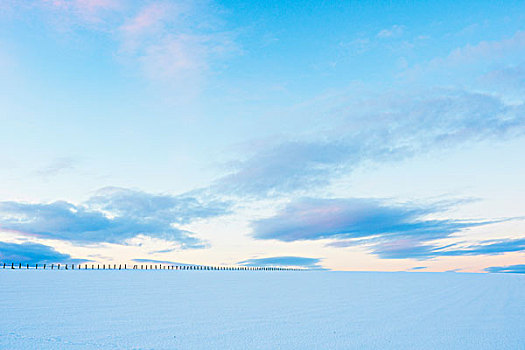 栅栏,积雪,土地,山,苏格兰