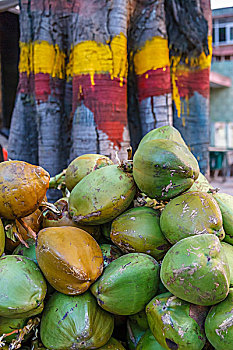 堆,椰子,班加罗尔,印度