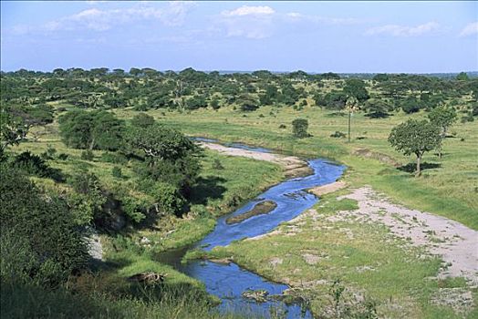 河,塔兰吉雷国家公园,坦桑尼亚,东非