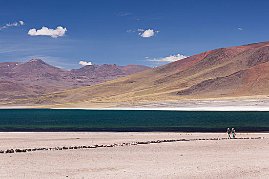 智利,阿塔卡马沙漠,泻湖,沙漠,湖,风景