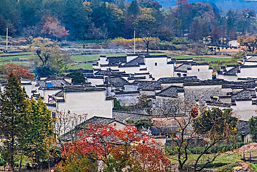 安徽省黟县卢村古民居乡村建筑景观