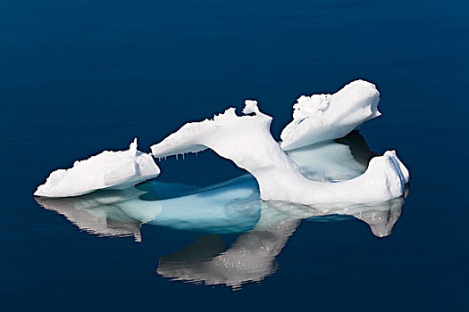 融化,浮冰,南极半岛,南大洋,南极