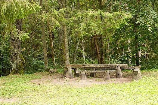 野餐,地点,绿色,树林