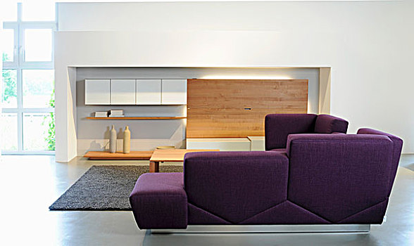 紫色,角,沙发,优雅,设计,客厅