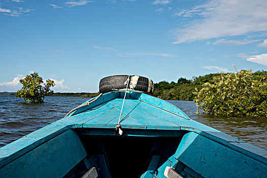 巴西,亚马逊河,船,航行,水岸,高度,大幅,尺寸