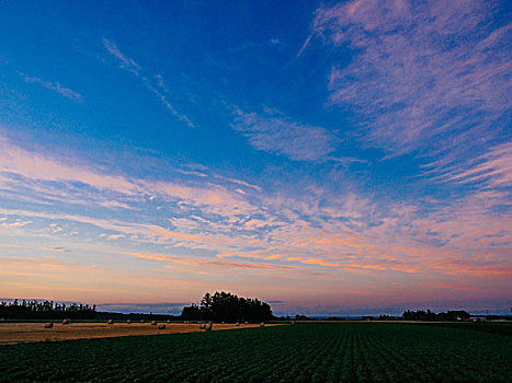 北海道,夏天