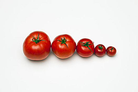 排,西红柿,排列
