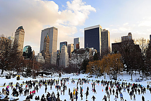 纽约,中央公园,滑冰