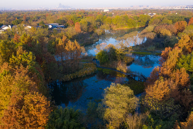 西溪湿地全景图图片