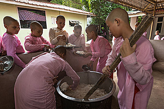 缅甸,仰光,女僧侣,米饭,巨大,容器,女性,寺院