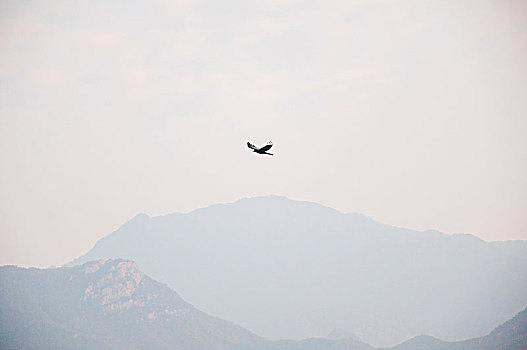 山峰之间飞翔的鸟儿