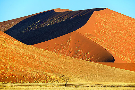 巨大,沙丘,夜光,索苏维来地区,纳米布沙漠,纳米比沙漠,公园,纳米比亚,非洲
