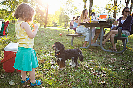 小女孩,狗,野餐