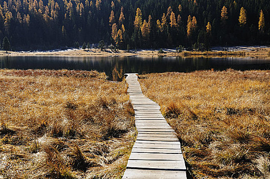 木板路,湖,圣莫里茨,瑞士
