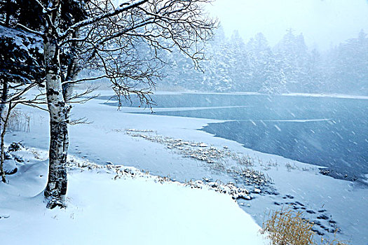 北海道,湖,雪
