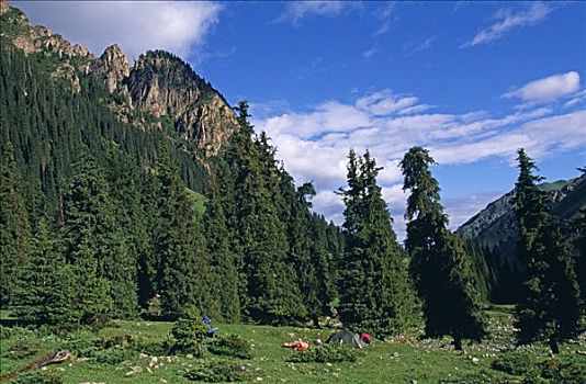 吉尔吉斯斯坦,常绿植物,树林,山谷,位置,传统,结束,跋涉,山脉