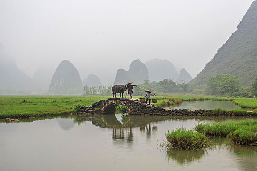 烟雨桂北农家忙