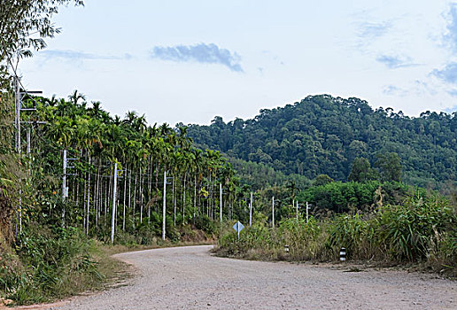 乡村,碎石路