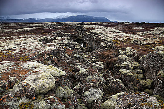 苔藓密布,火山岩,石头,国家公园,金色,圆,冰岛,欧洲