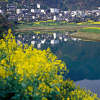 春天丰乐湖洽舍村