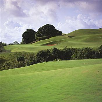 夏威夷,毛伊岛,胜地,高尔夫球场,蓝色,场地,绿色,山